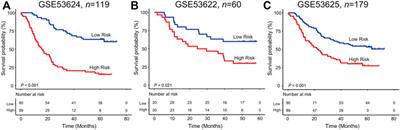 Construction of the Six-lncRNA Prognosis Signature as a Novel Biomarker in Esophageal Squamous Cell Carcinoma